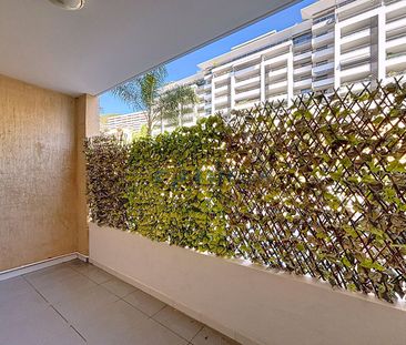 Location Appartement 1 pièce 25m² AJACCIO 20000 - Photo 4