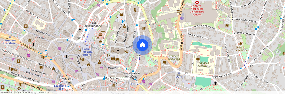 Rue Saint-Martin 22, 1003, Lausanne