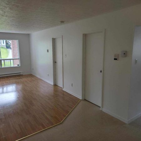 Superbe 3½ à 900$ - Secteur Ascot - Photo 3