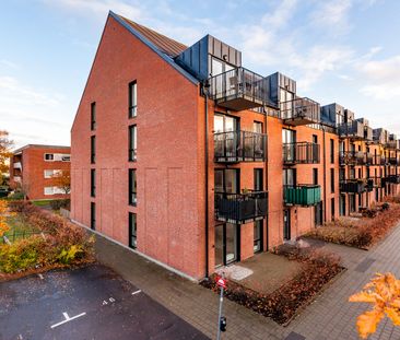 Malcusgatan, Halmstad - Foto 6