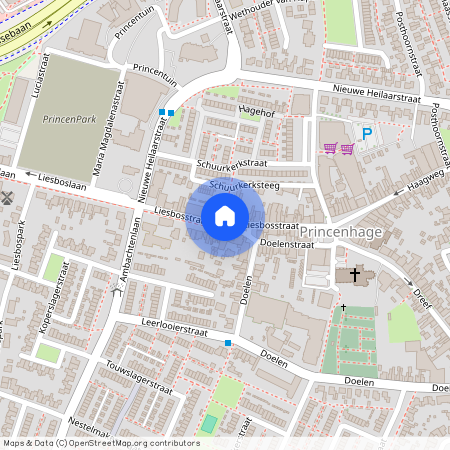 Princenhage, 4813 BE, Liesbosstraat, Breda