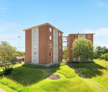 Ansvej, 100 1. v.2, Silkeborg, 8600 - Photo 3