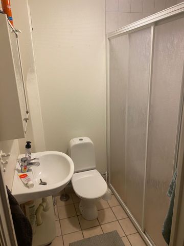 Runebergsgatan, Borås - Foto 5