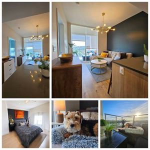 1 Bedroom + Den Condo with Stunning Fraser River and City Views - Photo 2