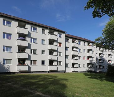 Tolle 3-Zimmer-Wohnung in der ruhigen Nordstadt // 3.OG rechts - Photo 2