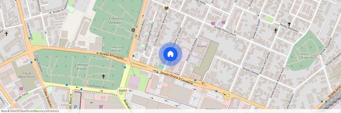 Timis, Timisoara
