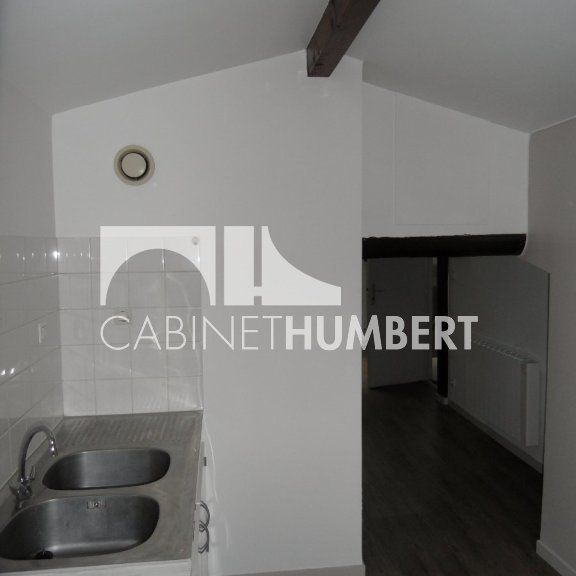 Location Appartement 1 pièce 23m² ST ETIENNE 42000 - Photo 1