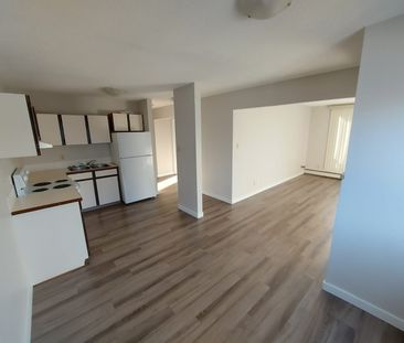 Pet Friendly 2 Bedroom, 1 Bathroom Apartment - Photo 2