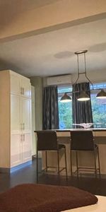 3 1/2 - Montréal (Hochelaga / Maisonneuve) - 1 800 $/mois - Photo 3