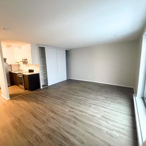 1 CH - 1 SDB - Gatineau - $1,149 /mo - Photo 3