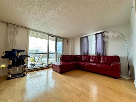 4950 Rue de la Savane - Photo 5