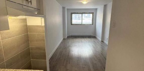 1 CH - 1 SDB - Saint-Laurent - $1,200 /mo - Photo 2