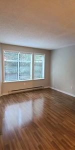 CHARMING 1 BEDROOM SUITE AVAILABLE OCT 1ST AT LAUREL PLACE IN VANCOUVE - Photo 3