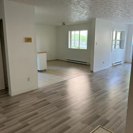 JUILLET 61/2 STYLE CONDO SECTEUR UNIVERSITÉ - Photo 4