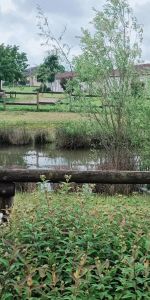 Appartement à louer 3 pièces 56.25m² - Photo 4