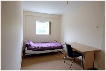 Modern 5 Bed Apartment with Free Internet - Photo 5