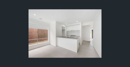 Modern Light-Filled Family Home in Prime Lucas Location - Photo 4