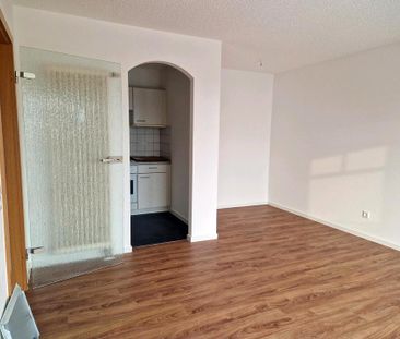 Suche ein nachmieter für diese wohnung am 1.2.2026 - Photo 1