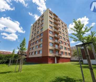 Prachatice, pronájem družstevního bytu 1+1 s balkonem - Fotografie 1