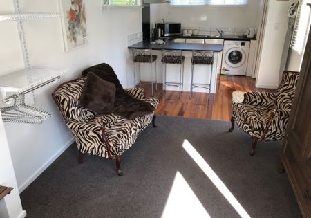 Sweet studio in Seatoun Village - Photo 3