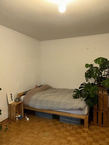 11/2-ROOM APARTMENT IN ZURICH – KREIS 11 AFFOLTERN, FURNISHED, TEMPORARY - Foto 4