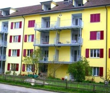 3.5 Zimmer Wohnung - Photo 2