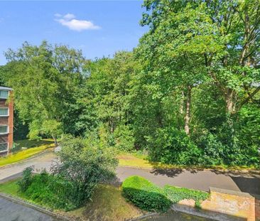 1 Bed Flat, Moseley, B13 - Photo 3