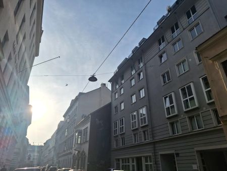 Single oder Stadt-Wohnung Nahe Pilgramgasse - zentraler geht`s FAST nicht mehr - Foto 3