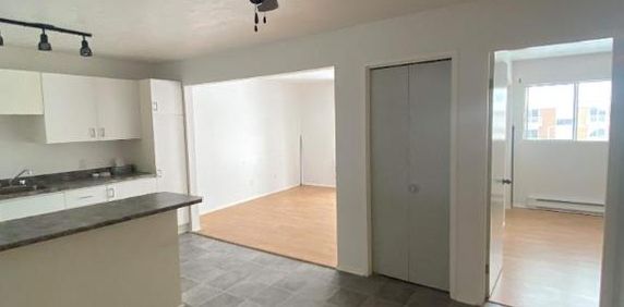 GRAND ET LUMINEUX 4.5 DISPONIBLE 1er JUILLET 2025 - Photo 2