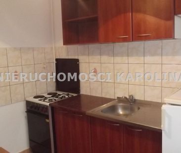 Górne, Piła - Фото 5