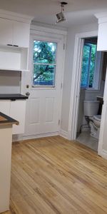4 1/2 rénové, Triplex, Vieux-Nord, Internet - Thermopompe - SEPTEMBRE GRATUIT - Photo 3