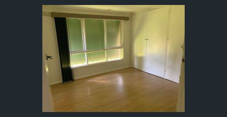 SPACIOUS FAMILY LIVING ON A HUGE BLOCK - Photo 3