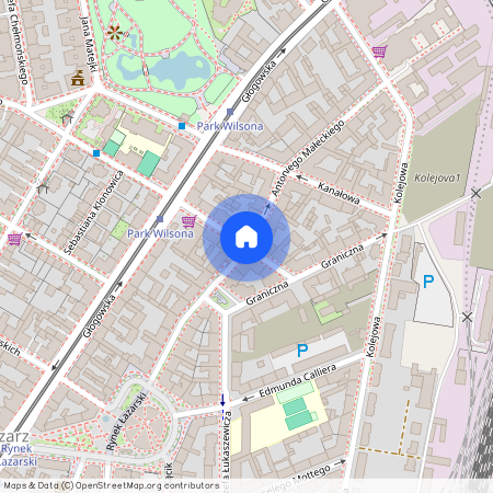 ul. Józefa Strusia, Łazarz, Grunwald, Poznań, wielkopolskie