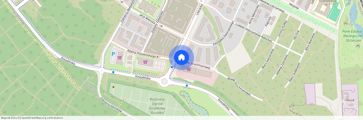 ul. Żołnierzy Wyklętych, Strzeszyn, Jeżyce, Poznań, wielkopolskie