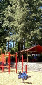 Blueridge Apartments - Photo 3
