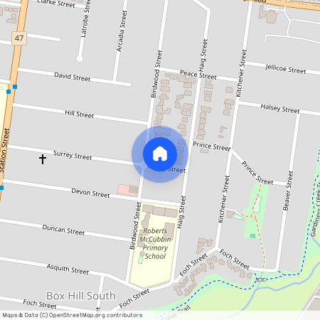 41 Surrey Street, Vic 3128, Box Hill South