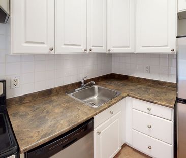 Golden Triangle Apartments - Studio and One-Bedroom Apartments for ... - Photo 6