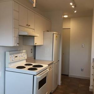 Spacious 1 BR Across From Crystal Pool Available Nov 15th or Dec 1st - Photo 2