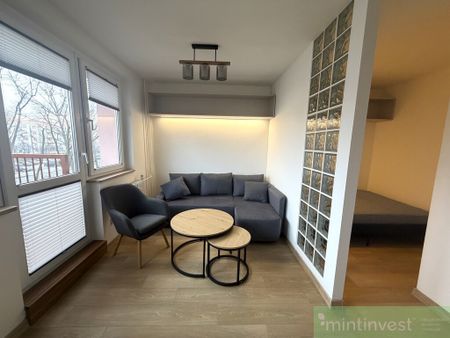 Do wynajęcia komfortowe mieszkanie 1-pok. - Zdjęcie 3