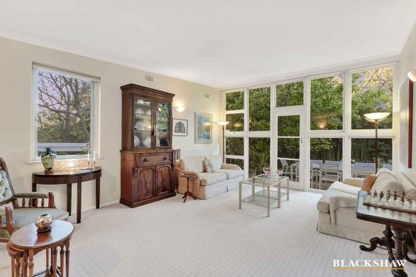 Inner-south grandeur - Photo 1