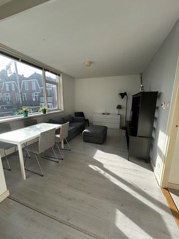 Te huur: Appartement Rijklof van Goensstraat in Den Haag - Foto 2