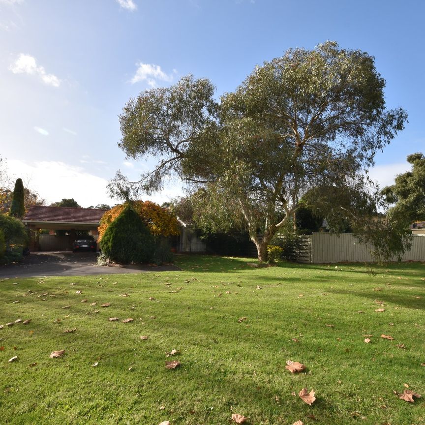 19 Summerhill Park Drive, Mooroolbark - Photo 1