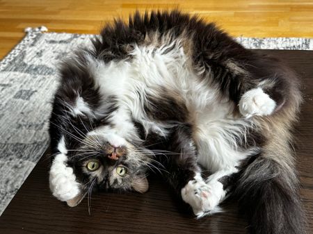 Såggatan, Göteborg - Photo 2