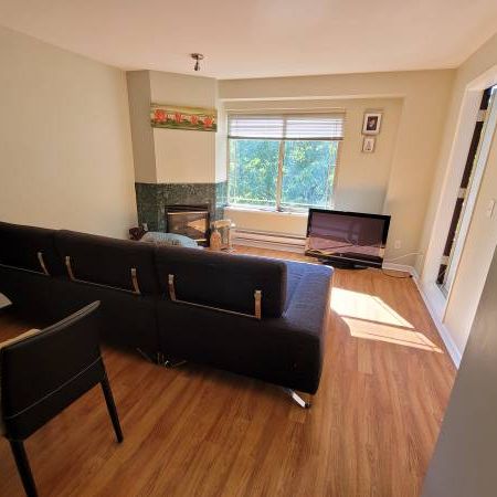 Bright, centrally located one bed/bath apartment in Coquitlam - Photo 3