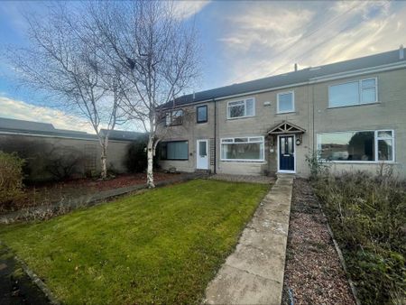 3 bedroom terraced house to rent - Photo 3