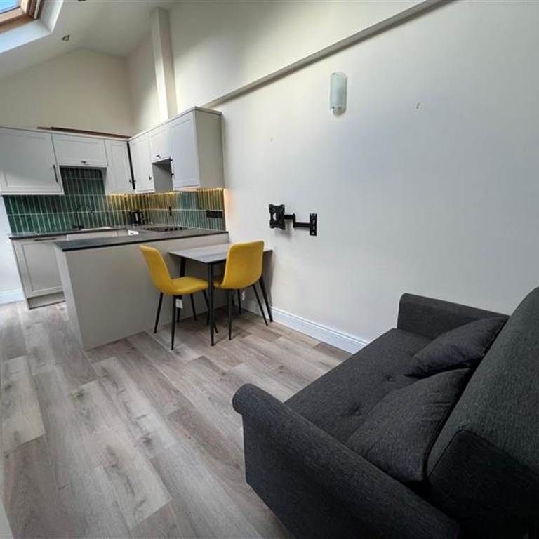 11b Rushfield Avenue, Ormeau, BT7 3FP - Photo 1