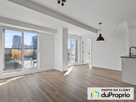 305-1133, av. Viger E, Ville-Marie (Centre-Ville et Vieux-Montréal) à louer - Photo 3