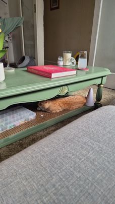 Moonee Ponds - Photo 1