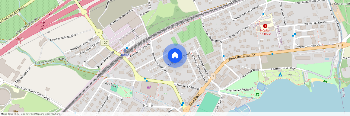 Chemin des Plantaz 16, CH-1180, Rolle