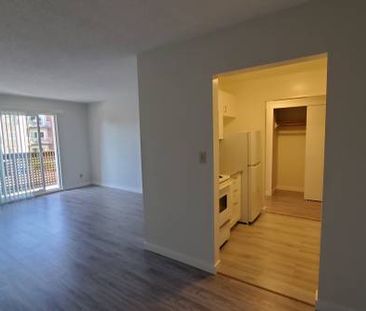 Renovated 1-Bed 1-Bath Unit in Mount Pleasant - Photo 1